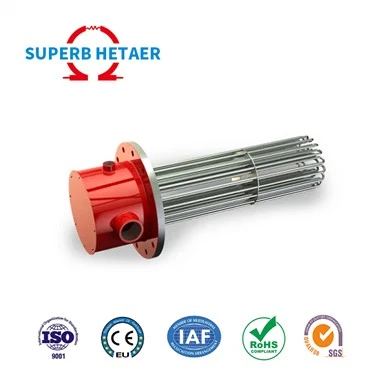 380v Electric Tubular 1000W Immersion Heater